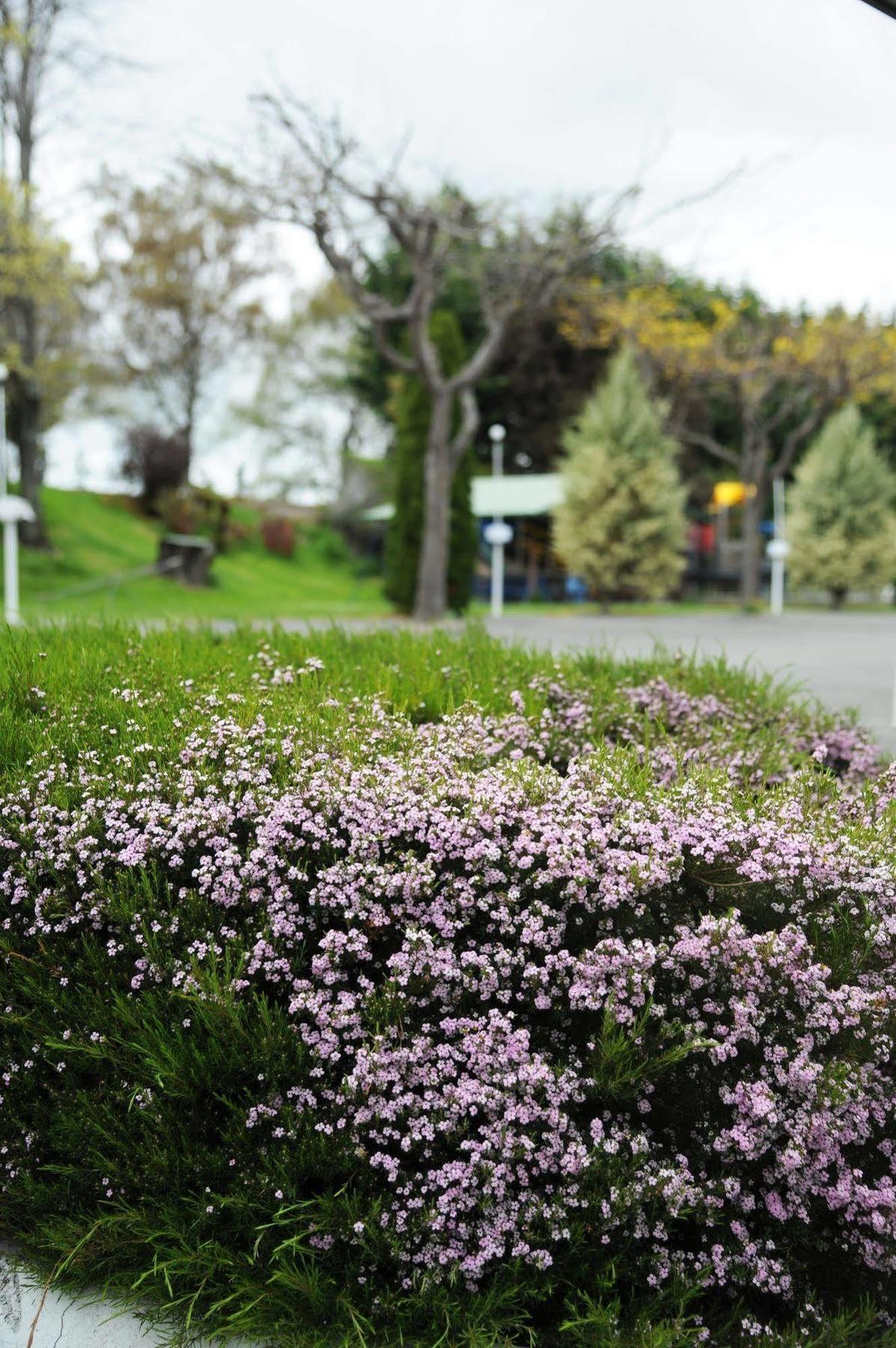 Bridges Holiday park 4*